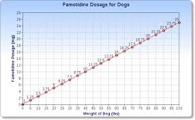 Using Famotidine For Dogs The Complete Guide