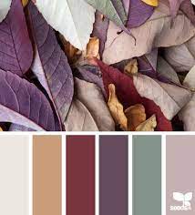 Color Schemes Color Palette Design Seeds