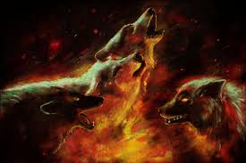 fire and ice wolves wallpapers