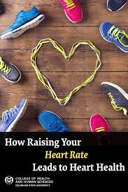 your heart rate leads to heart health