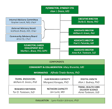 Leadership Organizational Chart Dartmouth Synergy