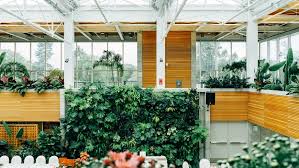 living green walls or vertical gardens