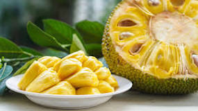 is-jackfruit-good-for-weight-loss