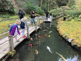 Portland Japanese Garden With Kids