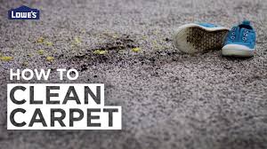 how to clean carpet you