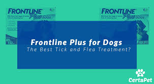 Frontline Plus For Dogs In Need Of Tick And Flea Management