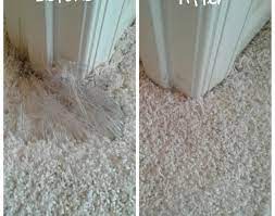 pet damage carpet repair potomac md