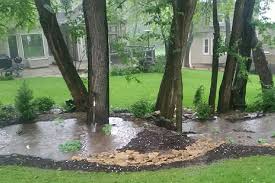 rain gardens city of lenexa