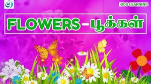 flowers name in tamil and english