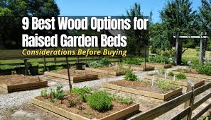 Wood Options For Raised Garden Beds