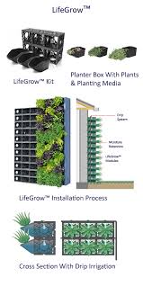 Lifegrow Green Wall Or Vertical