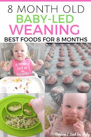 8 month old baby led weaning meal ideas