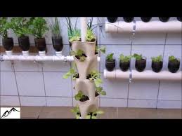 Vertical Garden From Pvc Pipe