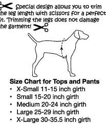 Walking Pants Dog Clothes Bella Dog Diapers Dogs Dog