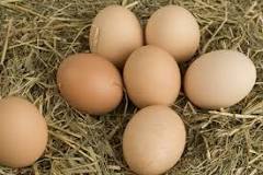 Quel chiffre sur les œufs ?