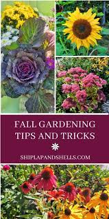 8 Fall Gardening Tips And Tricks For A