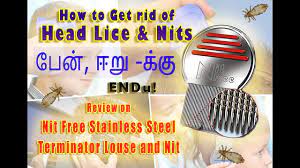 how to get rid of head lice and nits in