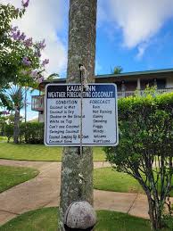 The Kauai Inn Updated 2022 S