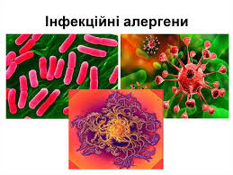 Не можна набирати алергени одним шприцом з різних флаконів. Alergiya Tipi Alergichnih Reakcij Online Presentation