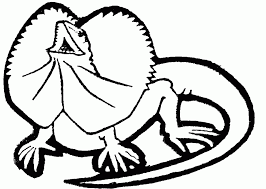 Lizards lizard on a branch. Lizard Coloring Pages Drawings Of Lizards Clipart Best Coloring Coloring Home