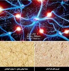 Eagle of Iran - شباهت عجیب نورون‌های مغز انسان با شبکهٔ کهکشانی! بلوک‌های  سازنده شبکه کیهانی هاله‌ای از ستارگان، گازها و مادهٔ تاریک با الگویی  عنکبوتی است و حدود ۱۰۰ میلیارد کهکشان