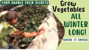 grow vegetables all winter secrets