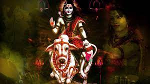 Shiva Is Sitting On Cow HD Bholenath Wallpapers | HD Wallpapers | ID #62081