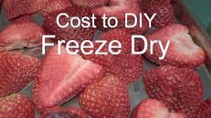 freeze dried strawberries and costs