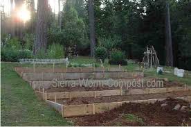 Garden Layout Raised Vegetable Gardens