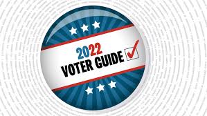 2022 florida election voter guide