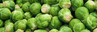 brussel sprouts calories nutritional