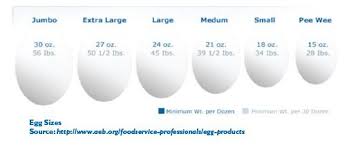 Egg Size Conversion Chart Tips Incredible Eggs Eggs