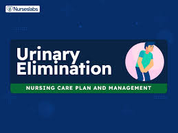 impaired urinary elimination urinary