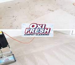 carpet cleaning services oxi fresh