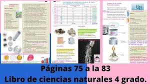 Ciencias naturales material para docentes. Paginas 75 A La 83 Libro De Ciencias Naturales 4 Grado Youtube