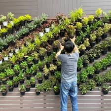 Vertical Plants Outdoor Wall Garden