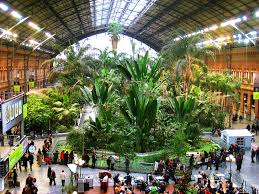 madrid s atocha station doubles as an