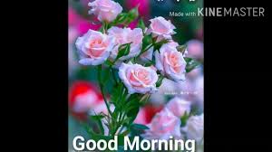 Happy to start a new day and tackle new challenges when you wake up. Good Morning Wishesgood Morning Wishes Malayalam Good Morning Wishes Images Good Morning Wishes God Youtube