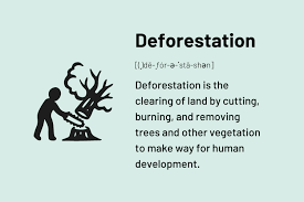 deforestation definition causes effects