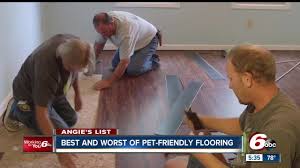 best and worst pet friendly flooring