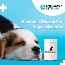 melatonin dosage for dogs calculator