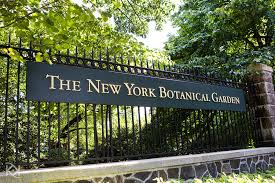 new york botanical gardens ny