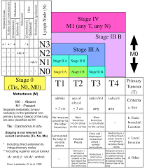 Tnm Staging Of Lung Cancer From Lababede O Et Al 1999