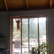 cat door installing a sash window cat door