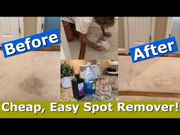 diy carpet stain remover for pennies