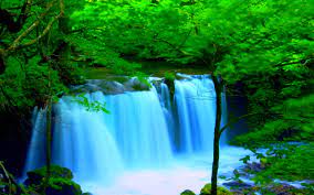 Green Forest Waterfall