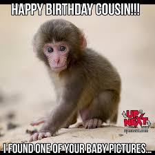 happy birthday cousin funny memes for