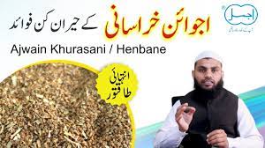 ajwain khurasani ke fayde henbane