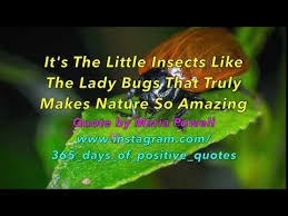 Lady Bugs Quotes Day 88 365 Days Of Inspirational