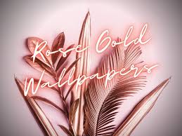 30 Rose Gold Wallpapers For Iphone